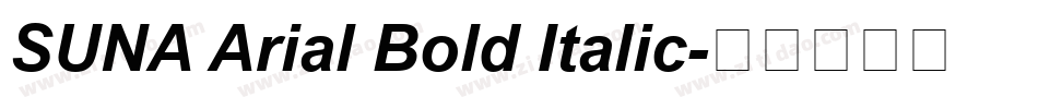 SUNA Arial Bold Italic字体转换